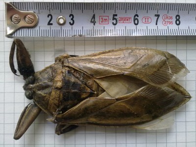 27052011716.jpg