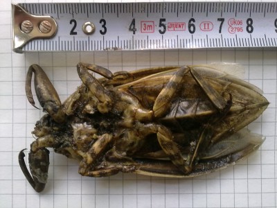 27052011715.jpg