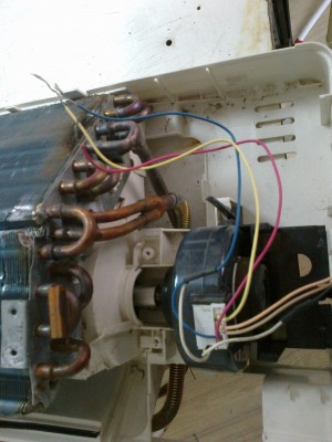 2012-11-09-104.jpg