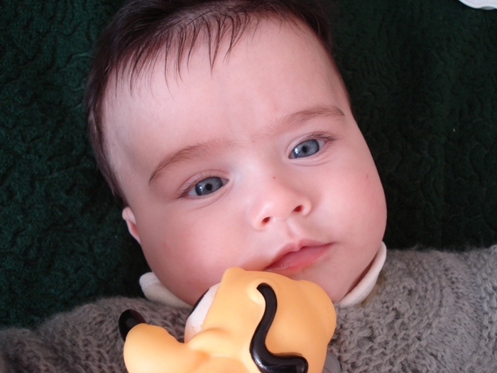 DSC02069-=.jpg