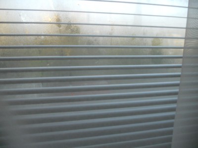 DSCN3473.JPG