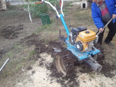 20121110_131330.jpg