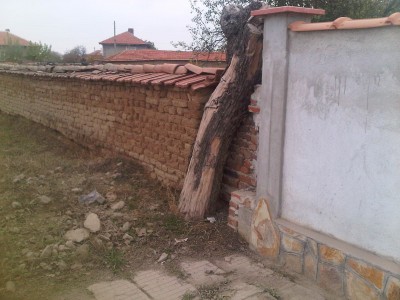 IMG01169-20121117-1339.jpg