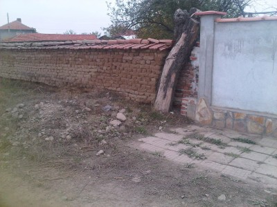 IMG01170-20121117-1339.jpg