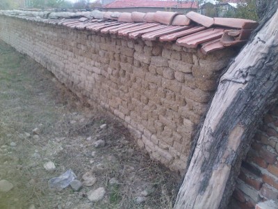 IMG01172-20121117-1340.jpg