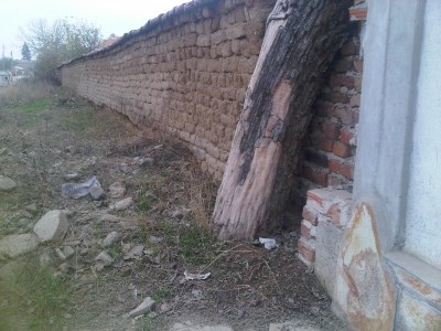 IMG01173-20121117-1340.jpg