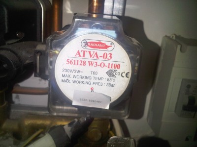 IMG01476-20121116-1043.jpg