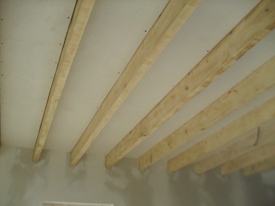 SDC14336.jpg