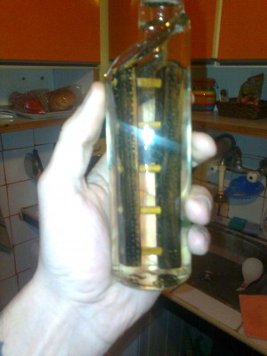 Снимка0266.jpg