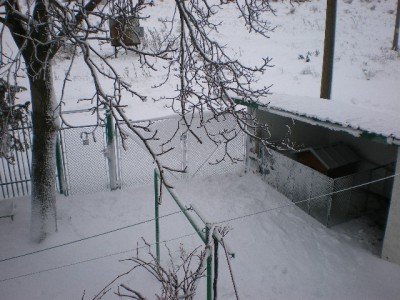 IMGP0002.JPG