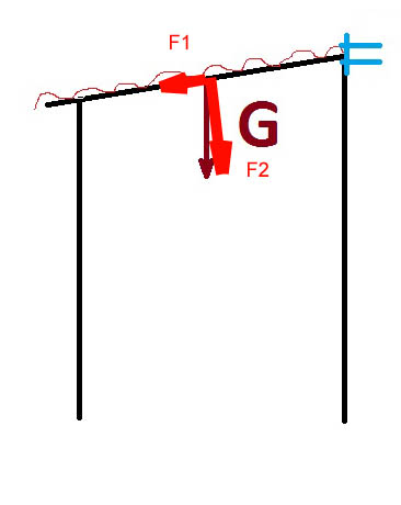 123.jpg