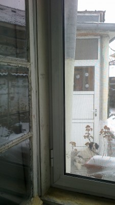 2012-12-22-194.jpg