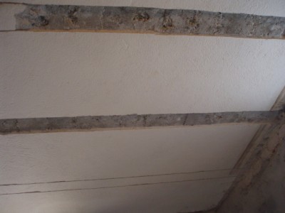 P2170024.JPG