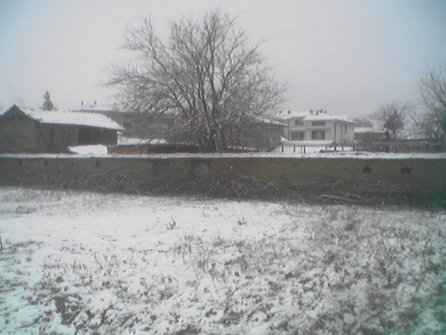 Image(04).jpg