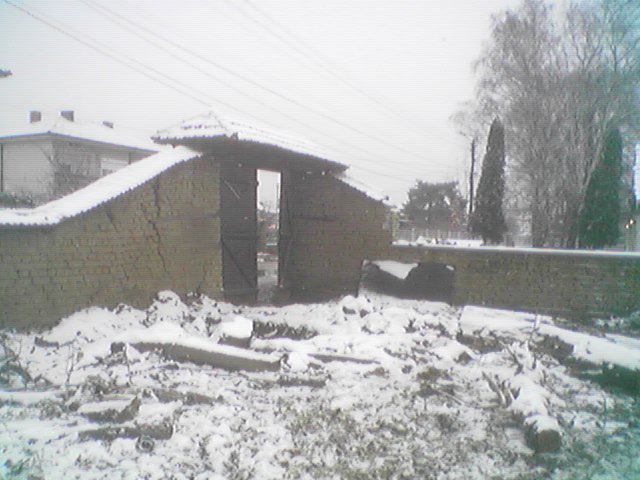 Image(05).jpg