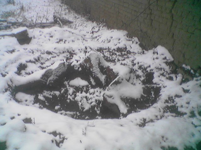 Image(02).jpg