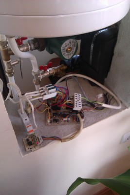 IMAG0281.jpg