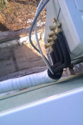 IMAG0283.jpg