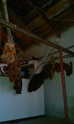 IMAG0411.jpg