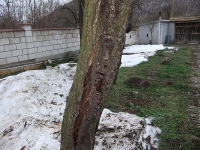 DSCF1301.JPG
