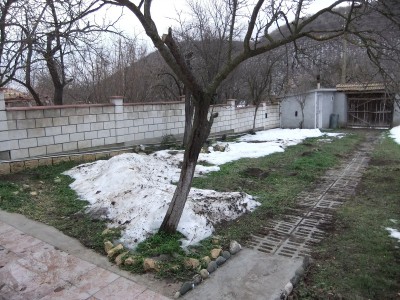 DSCF1302.jpg