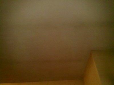250120131294.jpg