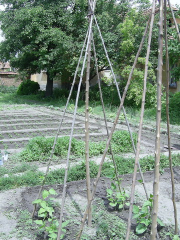 SA400174.JPG