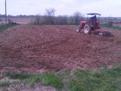 IMG00145-20110416-1237.jpg