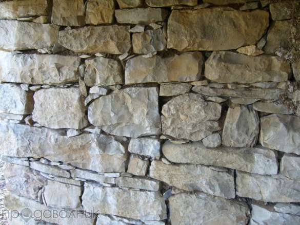 16738453_3_585x461.jpg