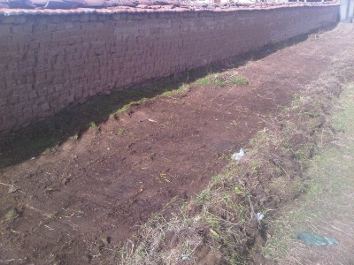 IMG01302-20130203-1134.jpg
