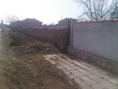 IMG01305-20130203-1135.jpg