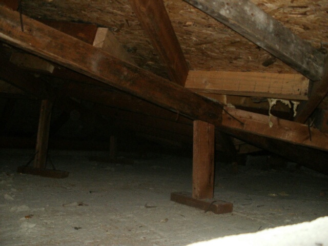 P2070020.JPG