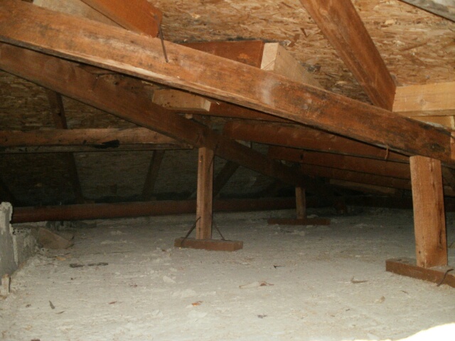 P2070021.JPG