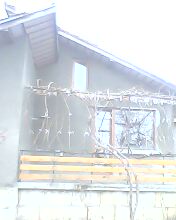IMG0068A.jpg