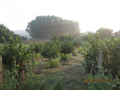 Picture 639-1.jpg