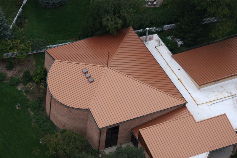 falc (800 x 534).jpg