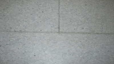 IMG_1811.JPG