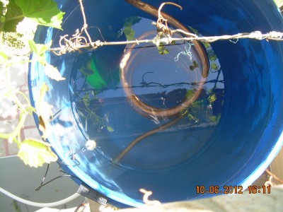 DSCN2173.JPG