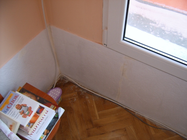 SUC54150.JPG