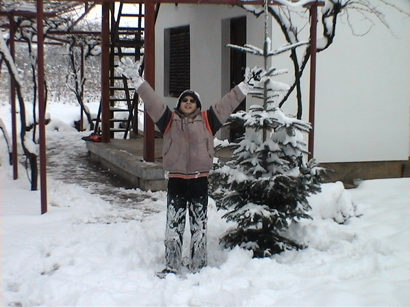 Кавказка ела.jpg
