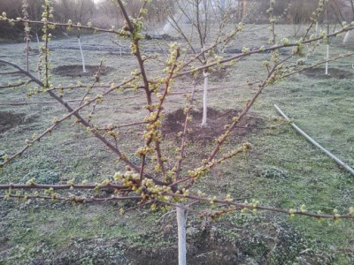20130318_063726.jpg