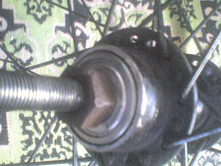 DSC00007.JPG