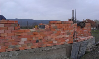IMAG0546.jpg