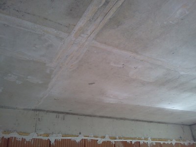 IMG2032.jpg