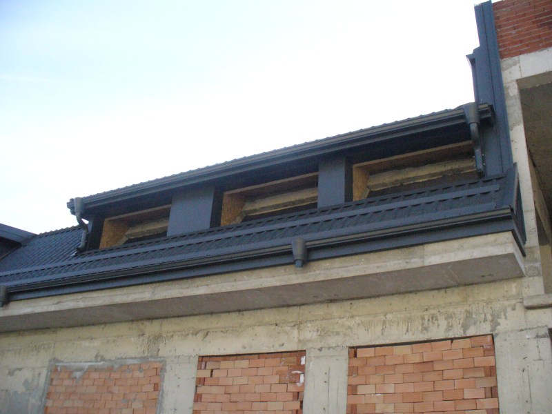 P1060710 (800 x 600).jpg