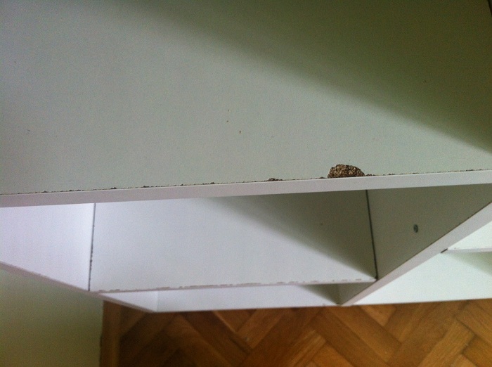 photo.JPG