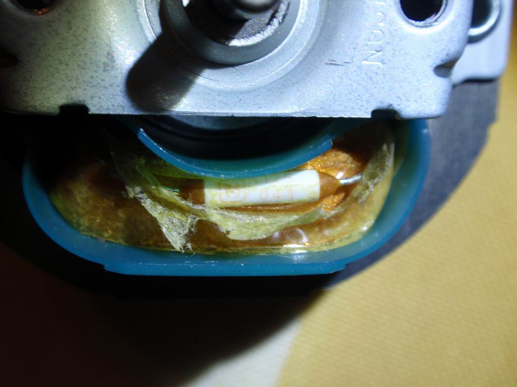 Resize of P2100014.JPG