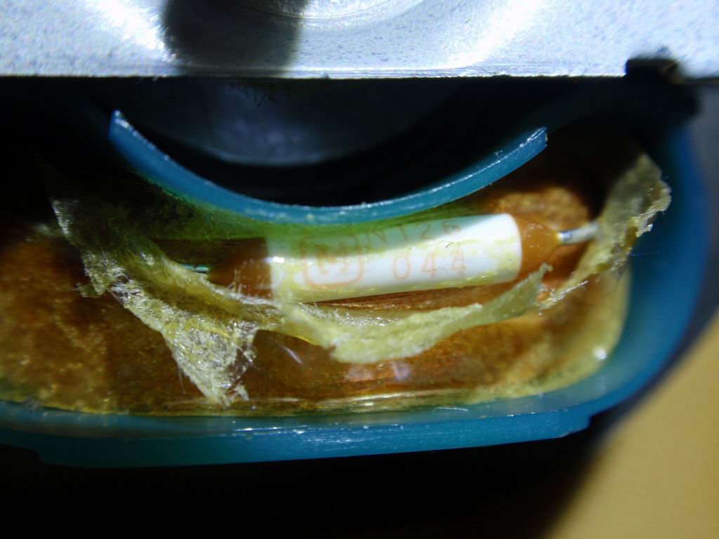 Resize of P2100013.JPG