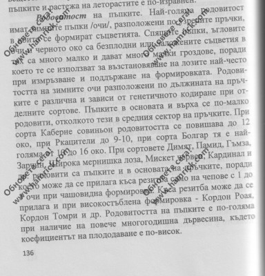 Scan-130407-0001.jpg