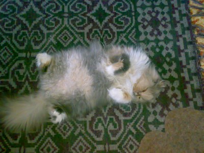 040720111224.jpg